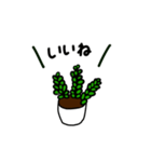 観葉植物の日常ゆるスタンプ（個別スタンプ：7）