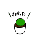 観葉植物の日常ゆるスタンプ（個別スタンプ：9）