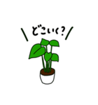 観葉植物の日常ゆるスタンプ（個別スタンプ：14）