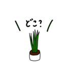 観葉植物の日常ゆるスタンプ（個別スタンプ：15）