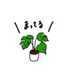 観葉植物の日常ゆるスタンプ（個別スタンプ：16）