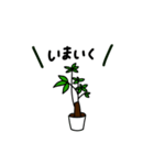 観葉植物の日常ゆるスタンプ（個別スタンプ：18）