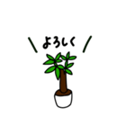 観葉植物の日常ゆるスタンプ（個別スタンプ：23）