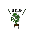 観葉植物の日常ゆるスタンプ（個別スタンプ：26）