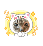果物クーちゃん＆コラボ（個別スタンプ：4）
