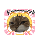 果物クーちゃん＆コラボ（個別スタンプ：5）