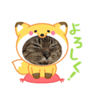 果物クーちゃん＆コラボ（個別スタンプ：8）