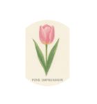 チューリップ種類シリーズ:Types of Tulips（個別スタンプ：2）