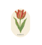 チューリップ種類シリーズ:Types of Tulips（個別スタンプ：3）