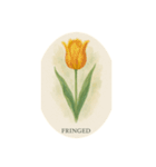 チューリップ種類シリーズ:Types of Tulips（個別スタンプ：5）