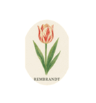 チューリップ種類シリーズ:Types of Tulips（個別スタンプ：9）