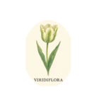 チューリップ種類シリーズ:Types of Tulips（個別スタンプ：10）