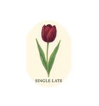 チューリップ種類シリーズ:Types of Tulips（個別スタンプ：11）
