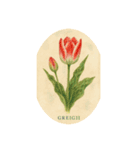 チューリップ種類シリーズ:Types of Tulips（個別スタンプ：13）