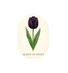 チューリップ種類シリーズ:Types of Tulips（個別スタンプ：14）