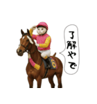 面白にゃんこ(競馬)（個別スタンプ：2）