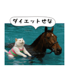 面白にゃんこ(競馬)（個別スタンプ：9）