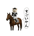 面白にゃんこ(競馬)（個別スタンプ：10）
