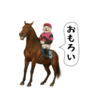 面白にゃんこ(競馬)（個別スタンプ：13）