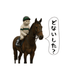 面白にゃんこ(競馬)（個別スタンプ：14）