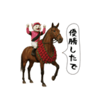 面白にゃんこ(競馬)（個別スタンプ：17）