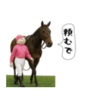面白にゃんこ(競馬)（個別スタンプ：26）