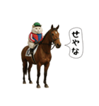 面白にゃんこ(競馬)（個別スタンプ：27）