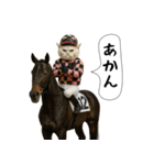 面白にゃんこ(競馬)（個別スタンプ：30）