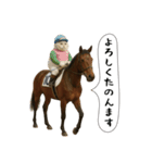 面白にゃんこ(競馬)（個別スタンプ：31）