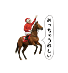 面白にゃんこ(競馬)（個別スタンプ：38）