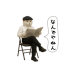 面白にゃんこ(競馬)（個別スタンプ：39）