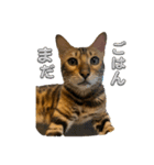 ユラのおかあさんがまたスタンプ作った②（個別スタンプ：1）