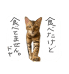 ユラのおかあさんがまたスタンプ作った②（個別スタンプ：4）