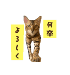 ユラのおかあさんがまたスタンプ作った②（個別スタンプ：5）