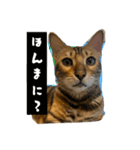 ユラのおかあさんがまたスタンプ作った②（個別スタンプ：6）