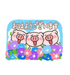 子ブタ3きょうだい 13  夏スタンプ（個別スタンプ：1）