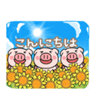 子ブタ3きょうだい 13  夏スタンプ（個別スタンプ：4）