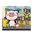 子ブタ3きょうだい 13  夏スタンプ（個別スタンプ：5）