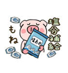 子ブタ3きょうだい 13  夏スタンプ（個別スタンプ：14）