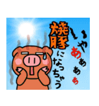 子ブタ3きょうだい 13  夏スタンプ（個別スタンプ：16）