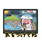 子ブタ3きょうだい 13  夏スタンプ（個別スタンプ：22）