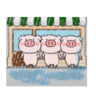 子ブタ3きょうだい 13  夏スタンプ（個別スタンプ：25）