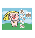 子ブタ3きょうだい 13  夏スタンプ（個別スタンプ：27）