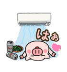 子ブタ3きょうだい 13  夏スタンプ（個別スタンプ：34）