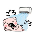 子ブタ3きょうだい 13  夏スタンプ（個別スタンプ：35）