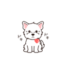 『ウエスティ』よく使う感情表現（個別スタンプ：5）