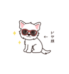 『ウエスティ』よく使う感情表現（個別スタンプ：9）