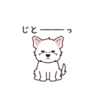 『ウエスティ』よく使う感情表現（個別スタンプ：11）