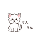 『ウエスティ』よく使う感情表現（個別スタンプ：19）