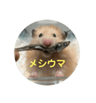 谷川家のとら夫さん2（ハムスター）（個別スタンプ：1）